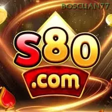 S80 boscuan77